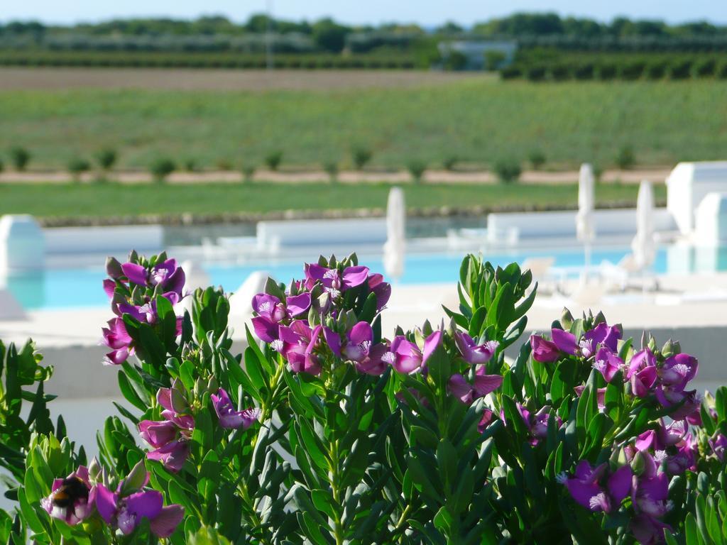 Masseria Bagnara Resort & Spa มารีนา ดี ลิซซาโน ภายนอก รูปภาพ