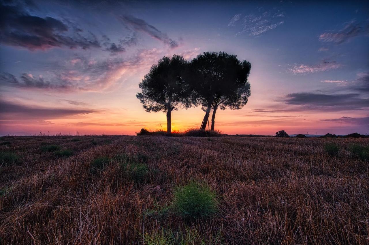 Masseria Bagnara Resort & Spa มารีนา ดี ลิซซาโน ภายนอก รูปภาพ