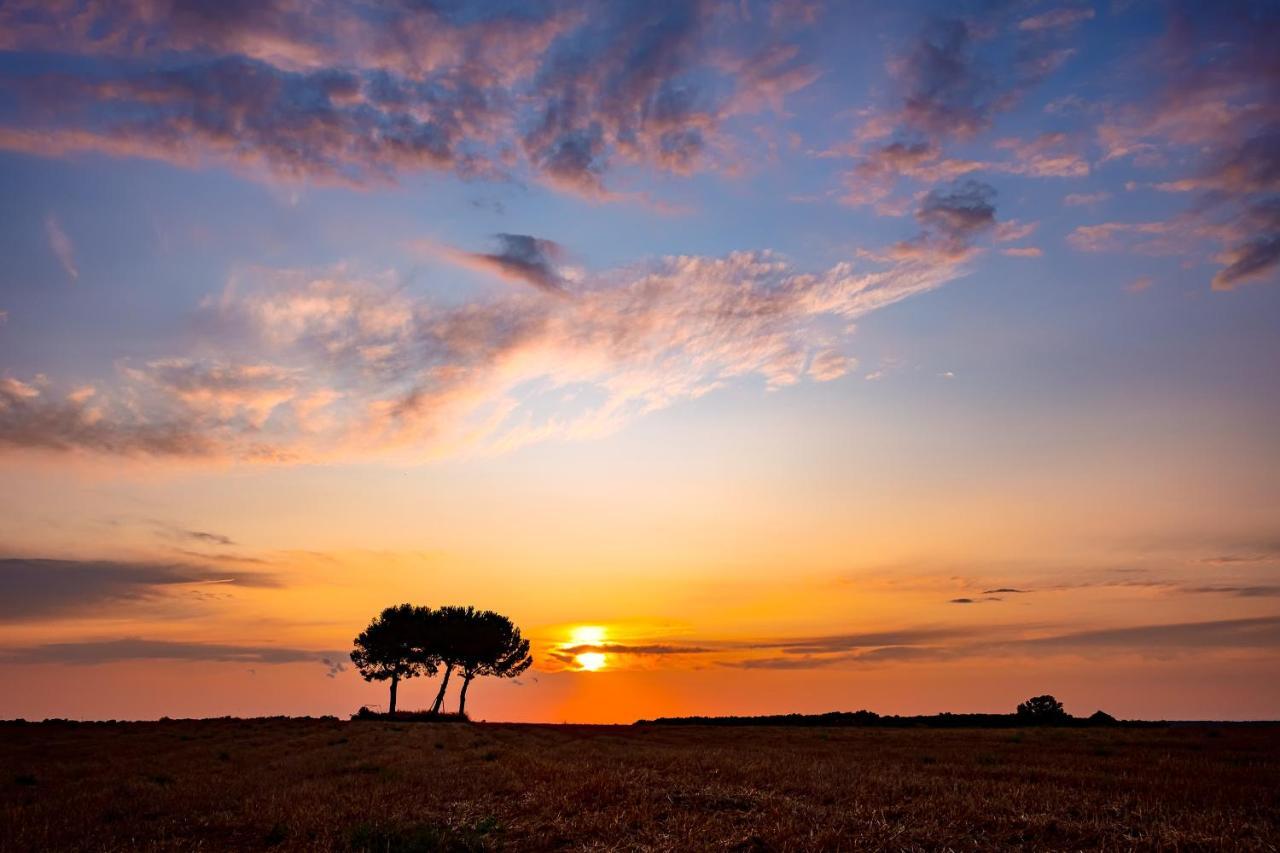 Masseria Bagnara Resort & Spa มารีนา ดี ลิซซาโน ภายนอก รูปภาพ